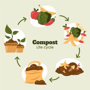 Compost Life Cycle