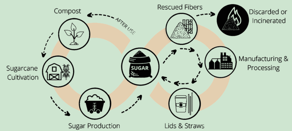 sugarcane straws production lifecycle