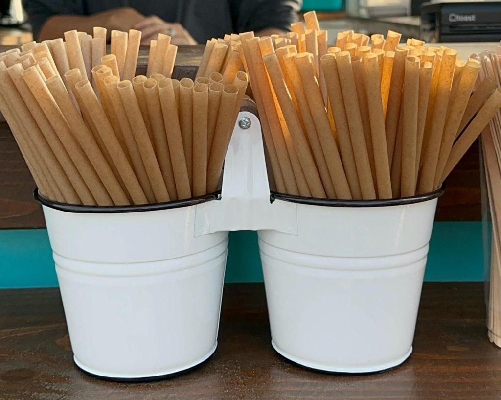 10" sugarcane straws by greenstraw-official